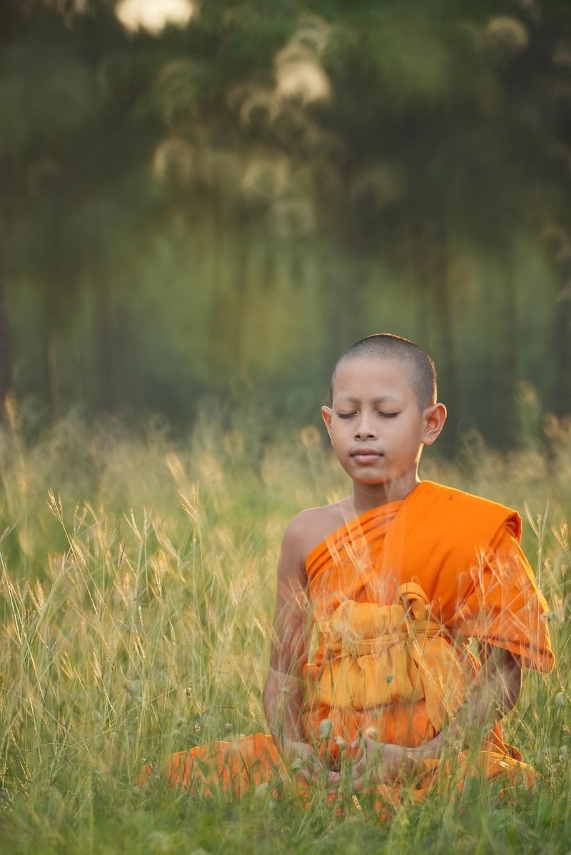 Kung Fu meditation